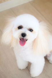 きっくちゃん