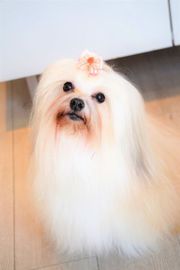 ゼリーちゃん