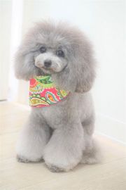 ニーナちゃん