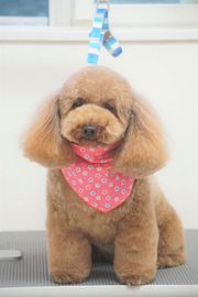 ミルキーちゃん
