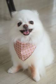 ＬＯＣＯちゃん