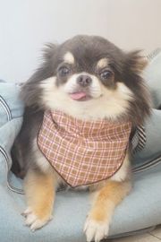 ベティちゃん