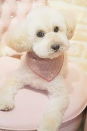 ゆきちゃん