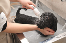 マイクロバブル